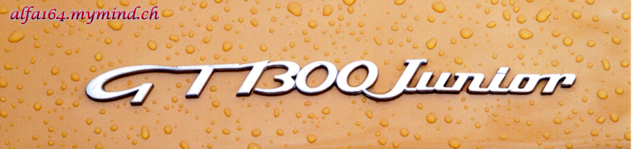 logogt1300junior