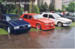 75nasen
